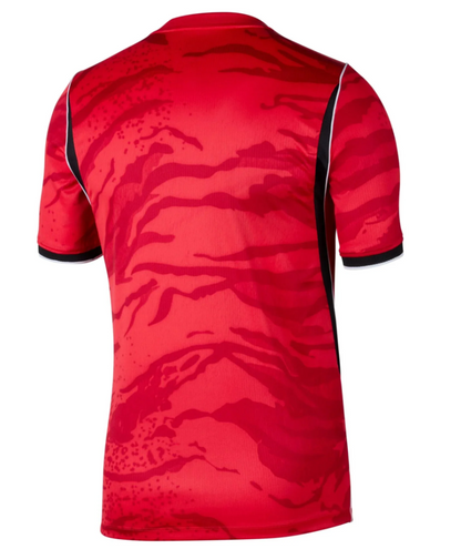 Camiseta Korea del Sur